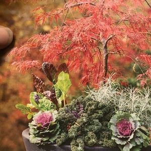 Meet your Posher, Breann